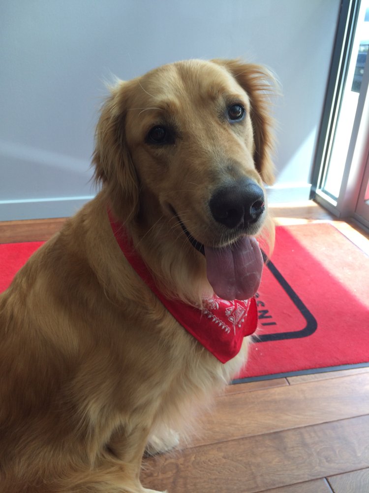 Photo of Brandy Whiteside - State Farm Insurance Agent
