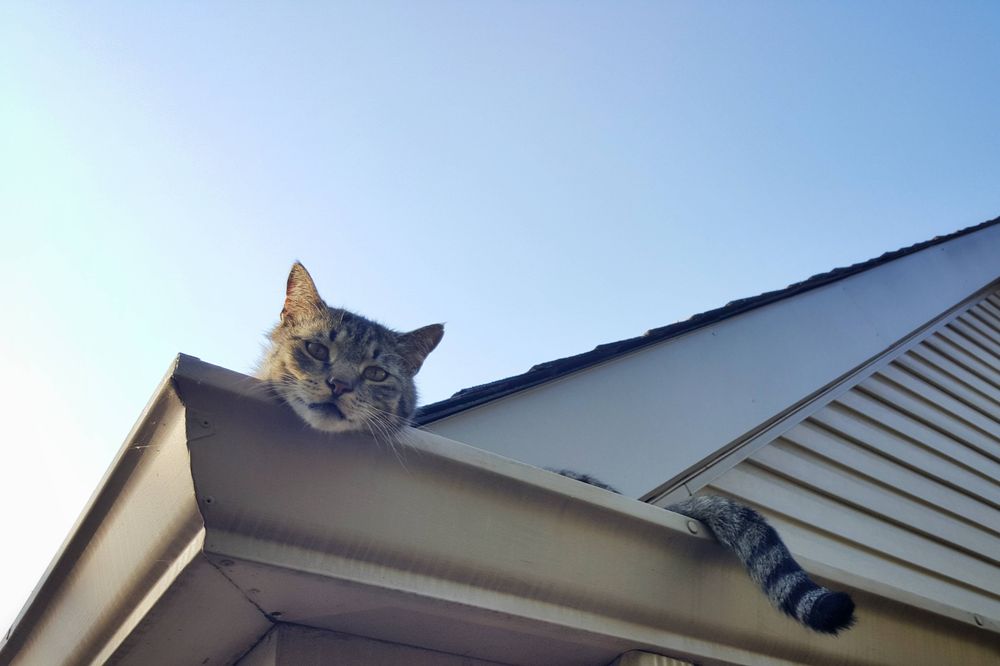 Photo of All Pro Gutters