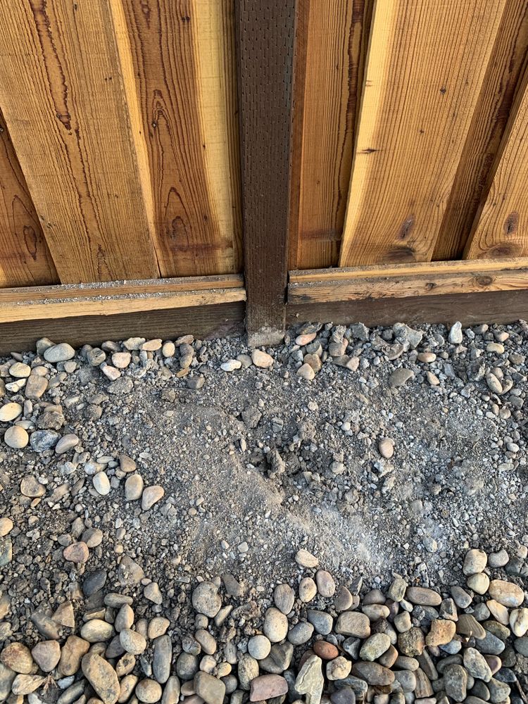 Photo of Borg Fence