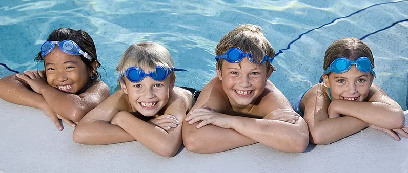 Photo of Paragon Pools