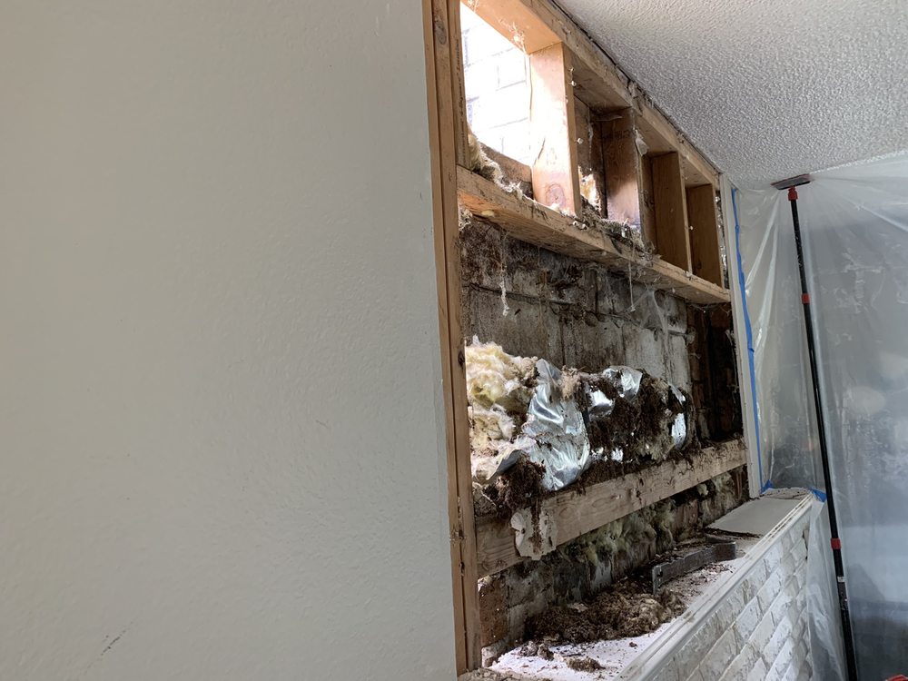 Photo of Absolute Rot Repair