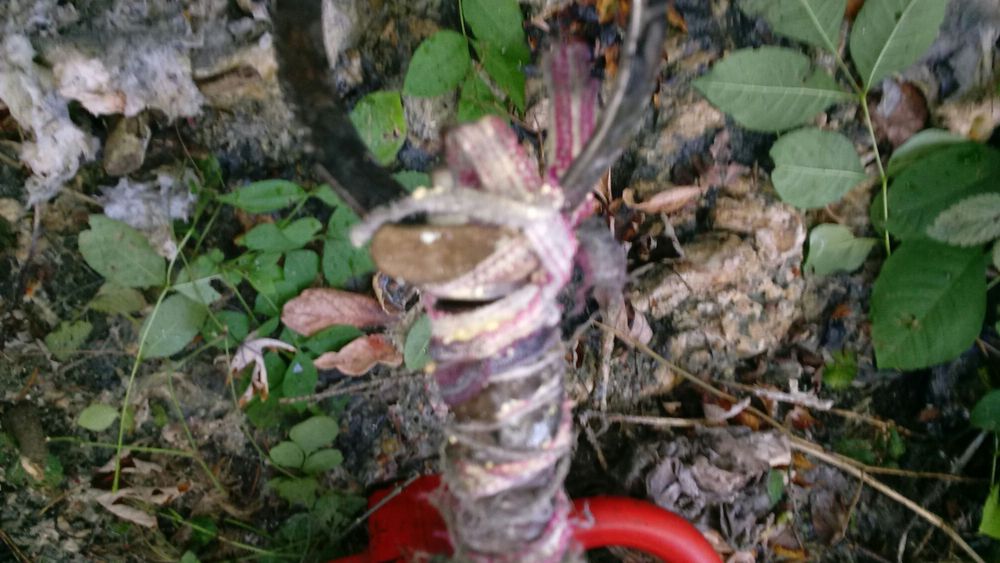 Photo of Taylor's Electric and Plumbing