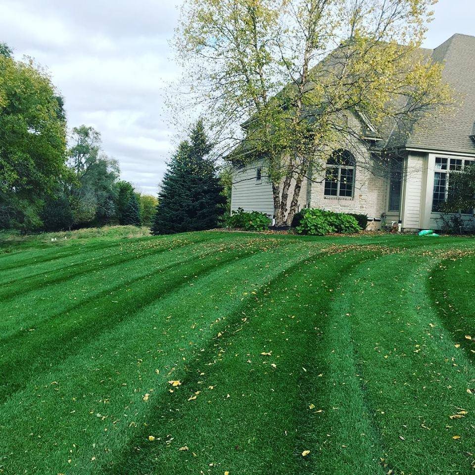 Photo of Strictly Green
