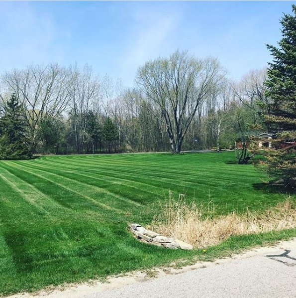 Photo of Strictly Green
