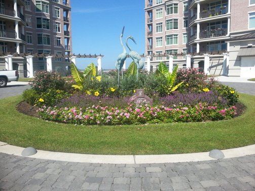 Photo of Passiflora Landscape & Design