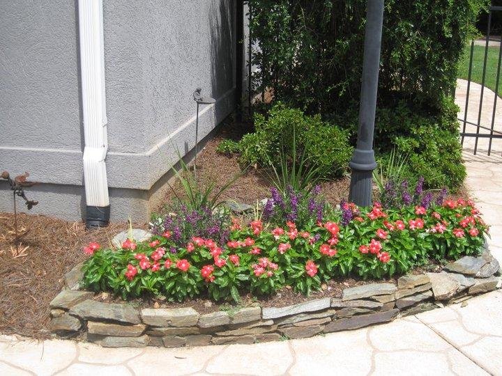 Photo of Passiflora Landscape & Design
