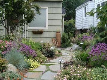 Photo of Living Earth Landscapes