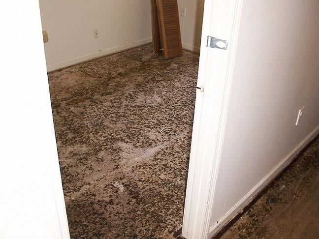 Photo of DisasterCare