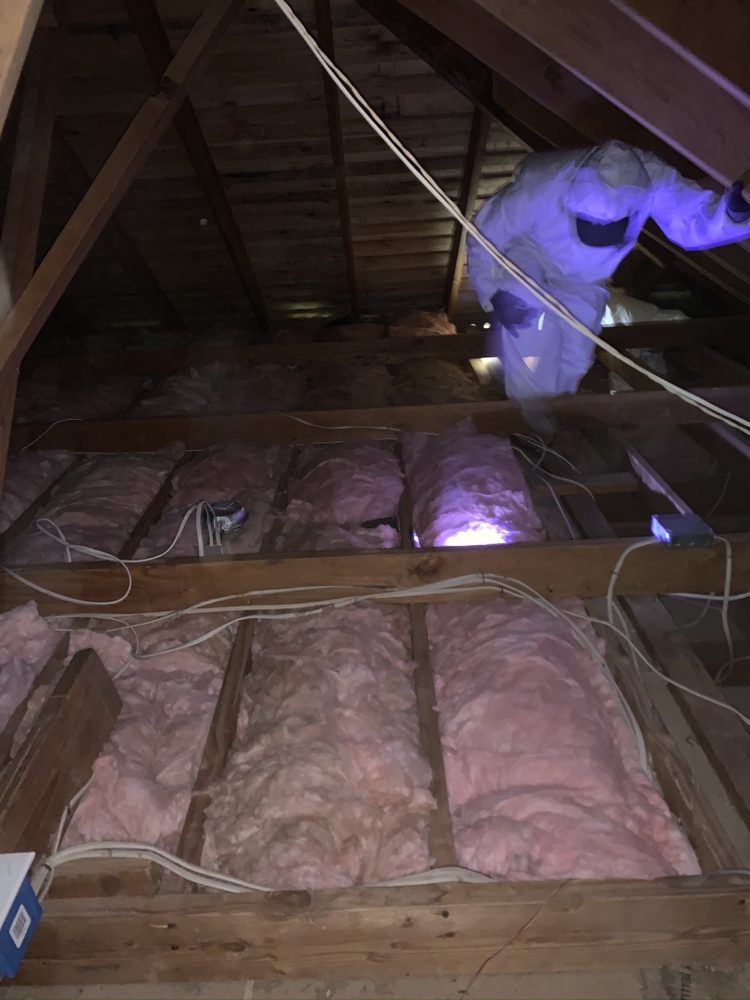 Photo of Eco Energy Bay Area Attic cleaning & Rodent Proofing