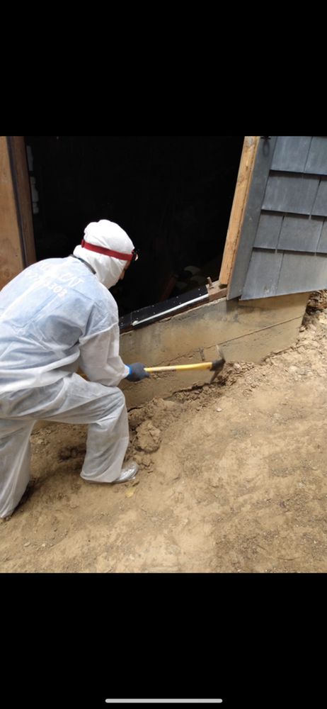 Photo of Eco Energy Bay Area Attic cleaning & Rodent Proofing