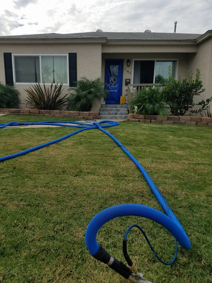 Photo of Reliable Carpet Care