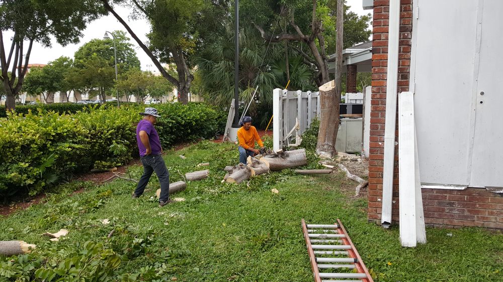 Photo of Flash Garden