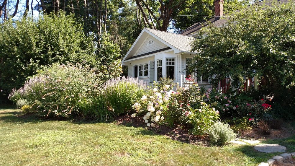 Photo of Flash Garden