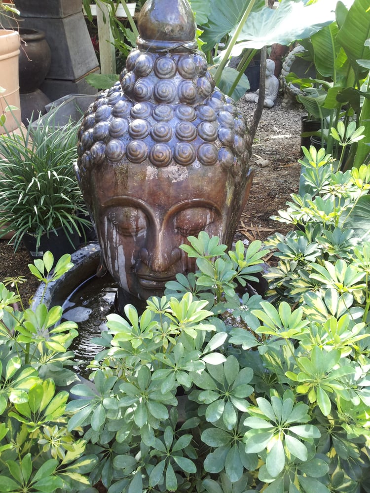 Photo of Mickey Hargitay Plants