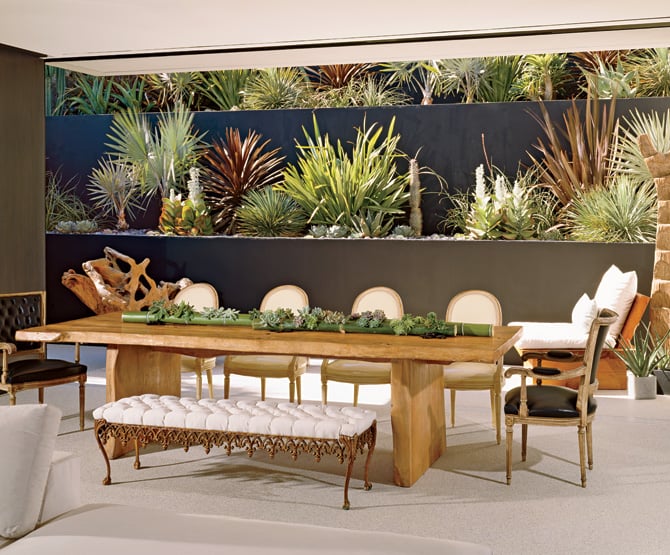 Photo of Mickey Hargitay Plants