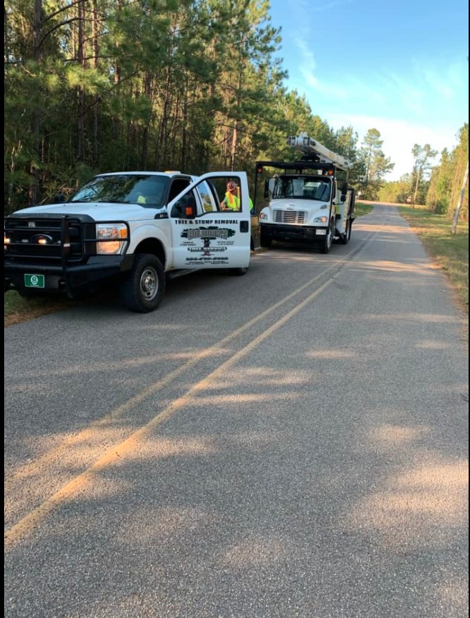 Photo of Colburn's Tree Service