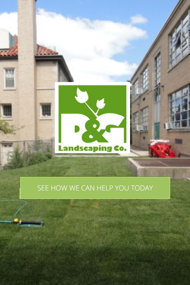 Photo of Diego & Gaby's Landscaping