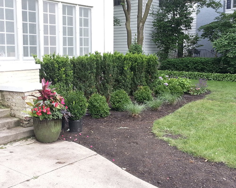 Photo of Diego & Gaby's Landscaping