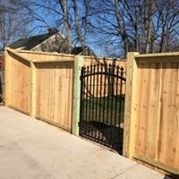 Photo of Volunteer Fence