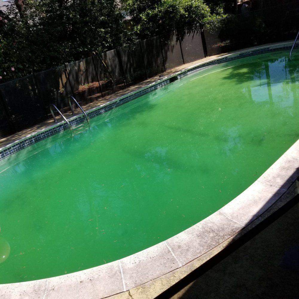 Photo of Maritime Pools