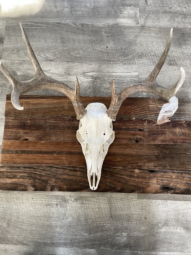 Photo of Reclaimed Wood of Denver