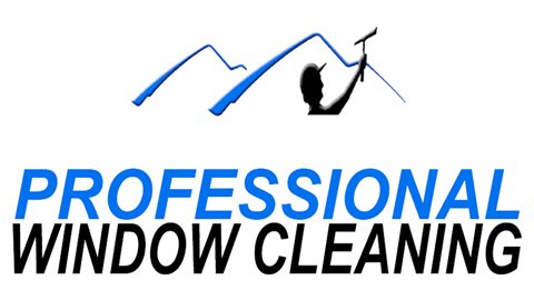 Photo of Professional Window Cleaning