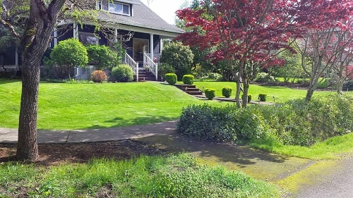 Photo of Green Scapes