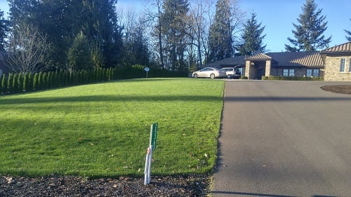 Photo of Green Scapes