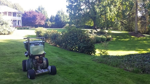 Photo of Green Scapes