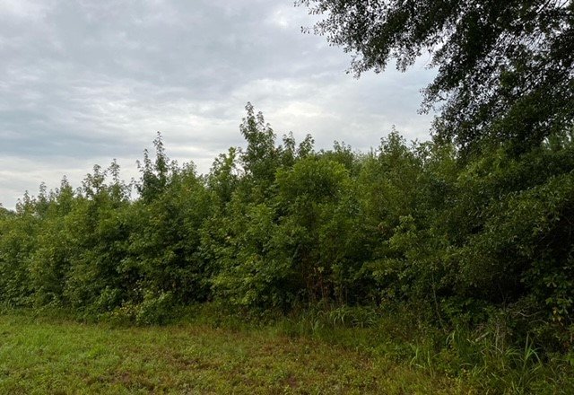 Photo of Tucker Mountain Farms