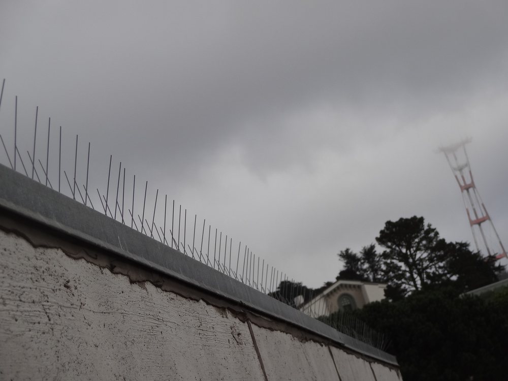 Photo of Barry's Bird Control & Power Washing