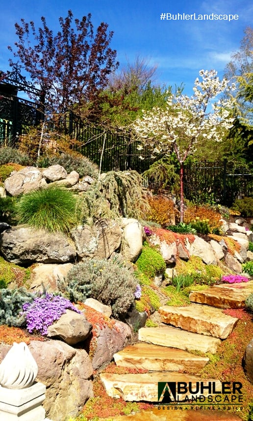 Photo of Buhler Landscape & Design