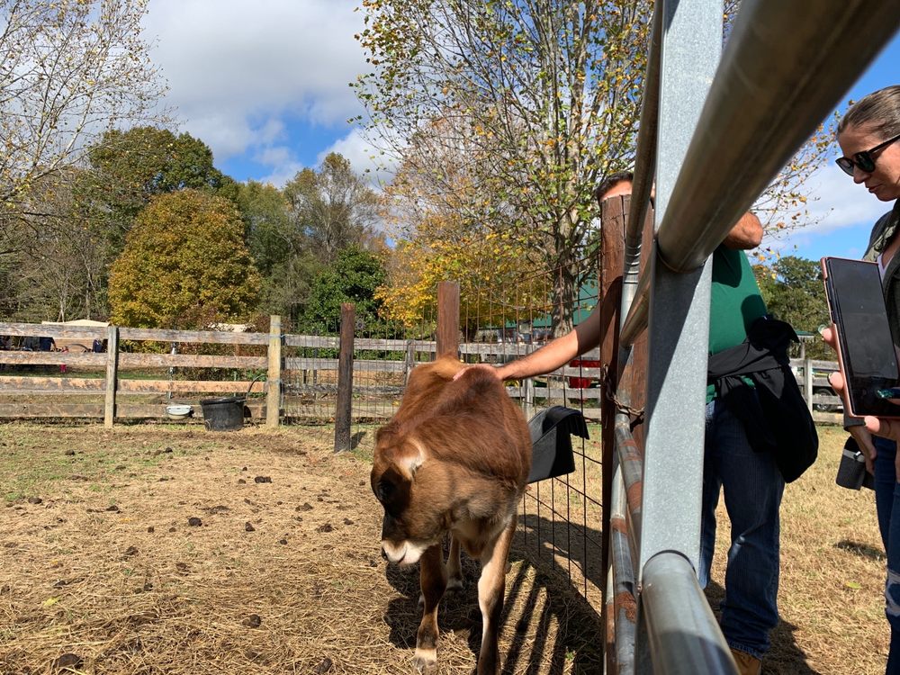 Photo of Honeysuckle Hill Farm