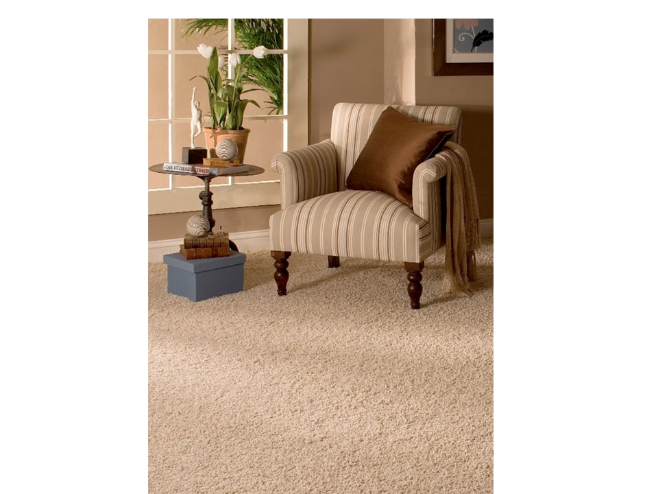 Photo of Triple A Carpet Cleaning