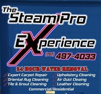 Photo of Steam Pro