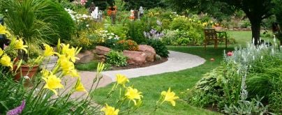 Photo of Genesis Lawn and Landscape