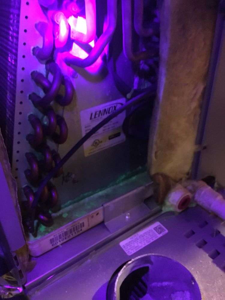 Photo of Ideal Air