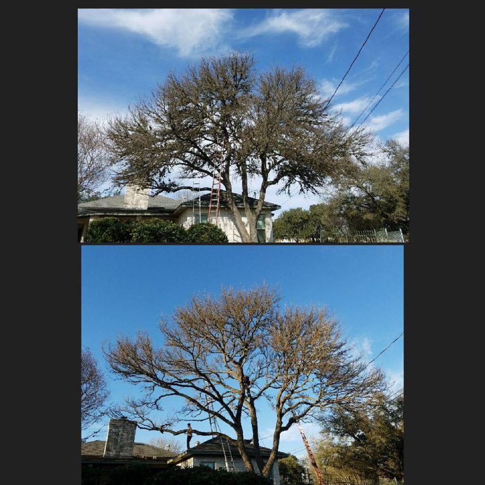 Photo of E & B Tree service and Landscaping