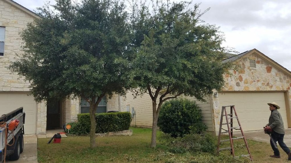Photo of E & B Tree service and Landscaping