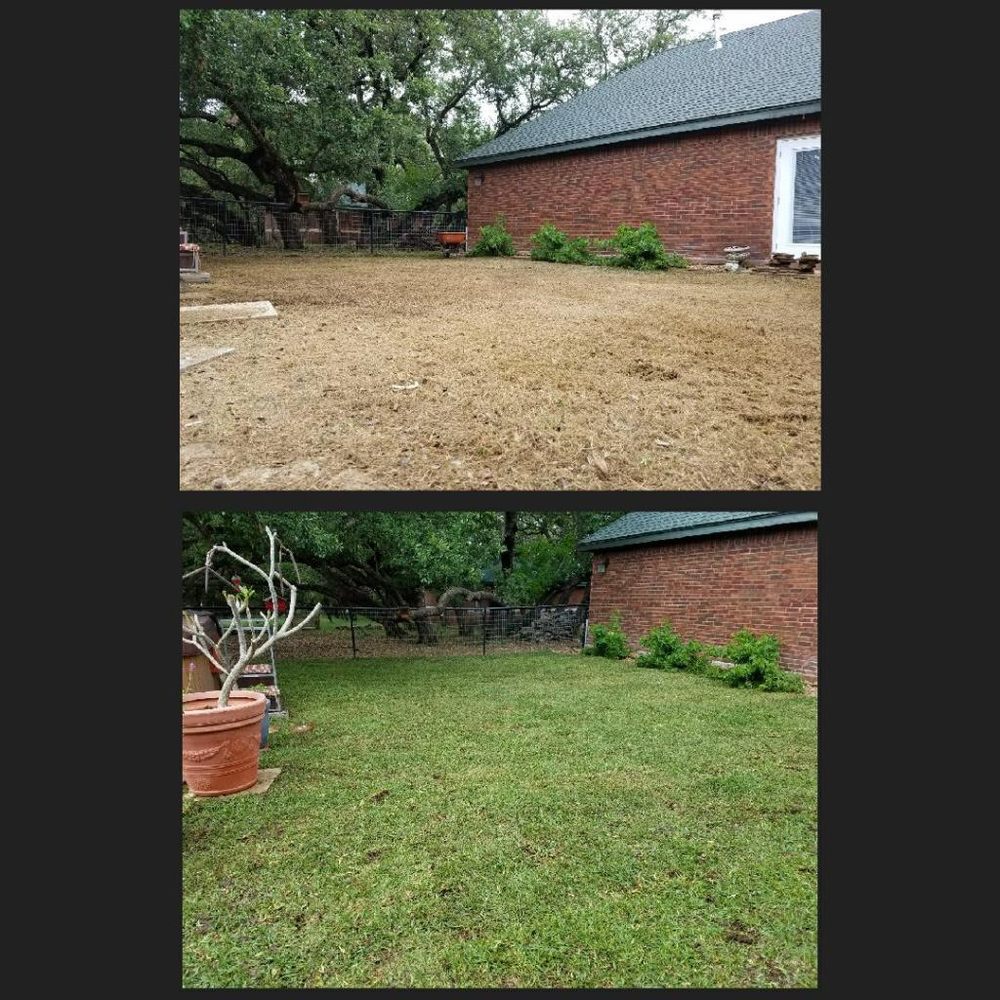 Photo of E & B Tree service and Landscaping