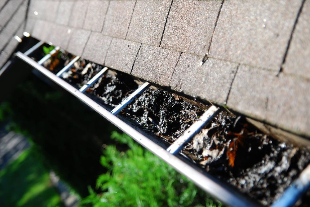 Photo of Ned Stevens Gutter Cleaning