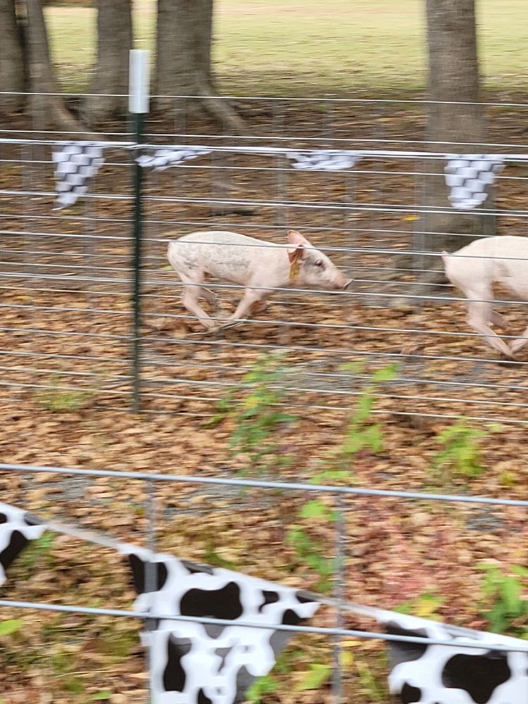 Photo of Bo Brook Farms