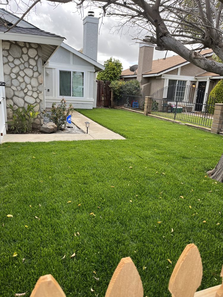 Photo of Herreras Lawn Service