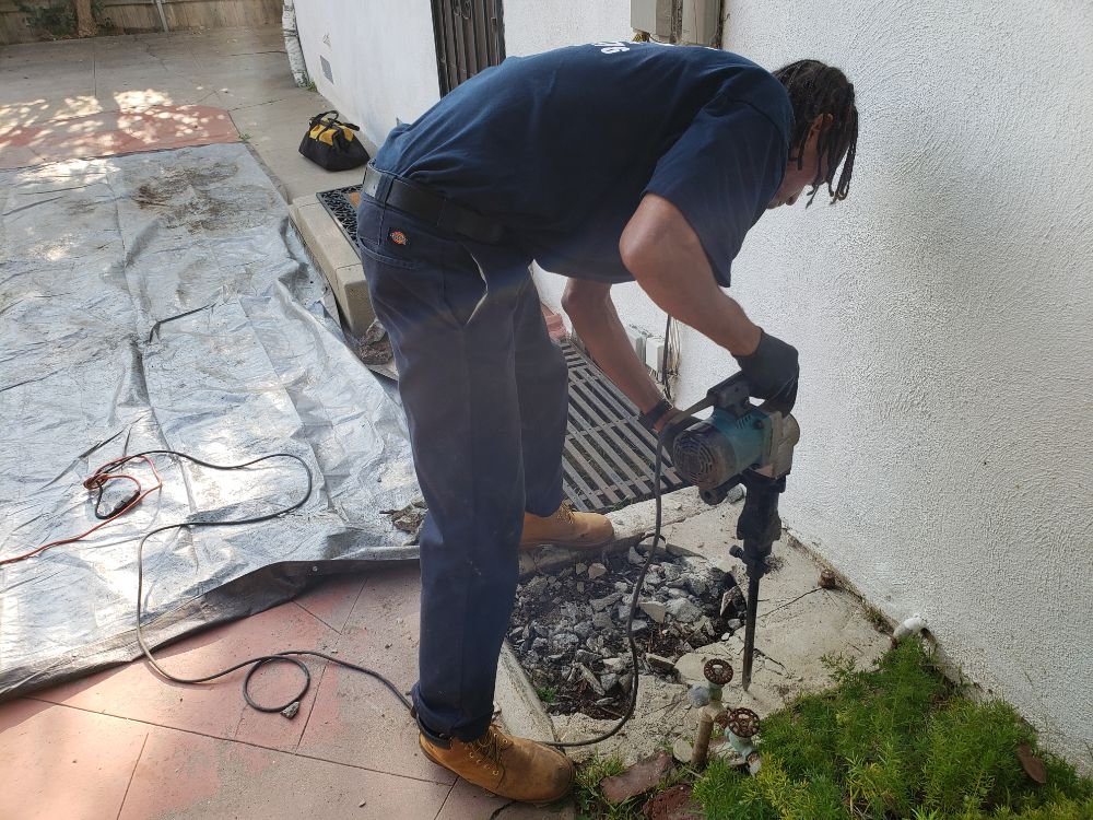 Photo of Rapid Action Rooter