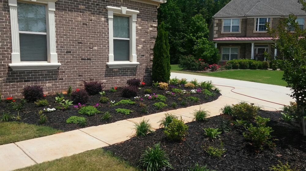 Photo of Tia's Total Landscaping