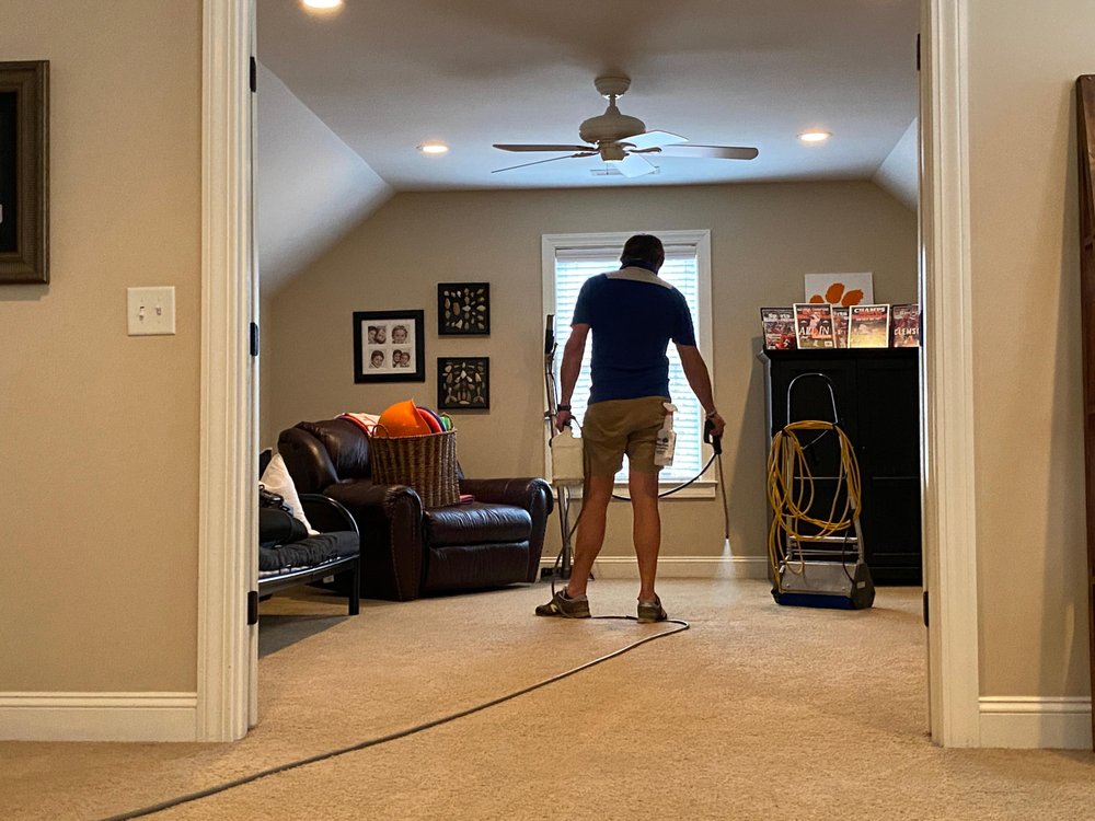 Photo of Whitehall Carpet Cleaners