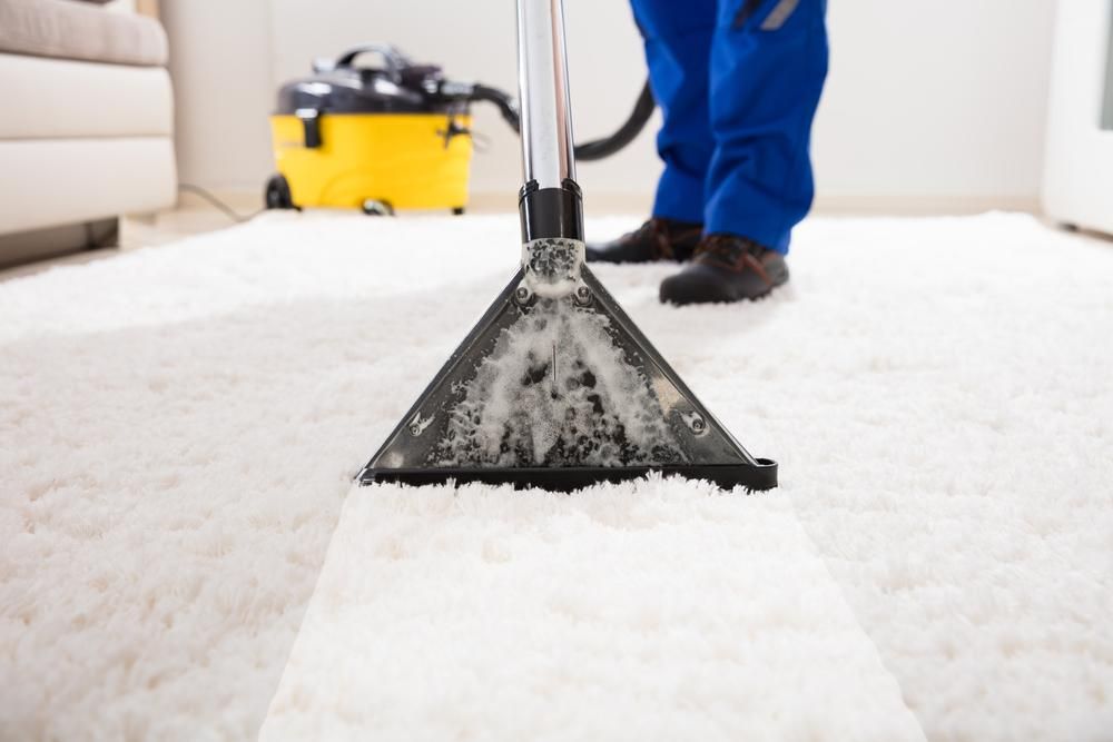 Photo of Whitehall Carpet Cleaners