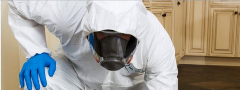 Photo of PuroClean