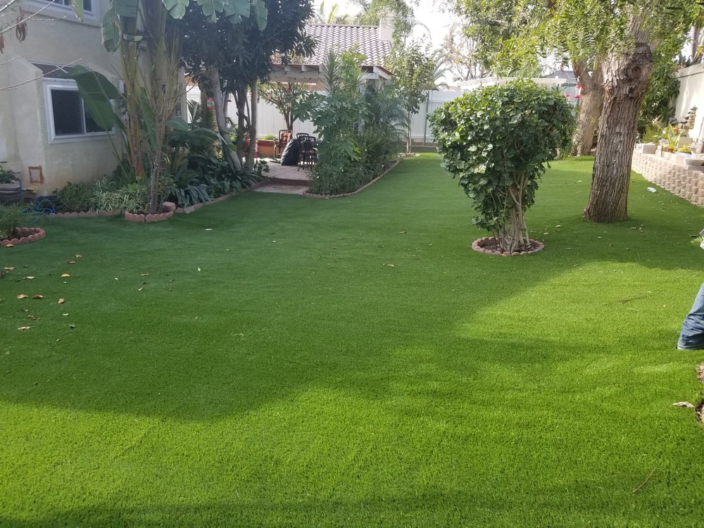 Photo of Ecograss