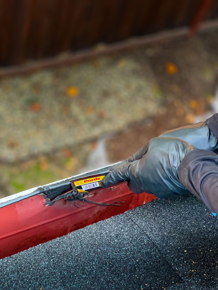 Photo of Golden State Window Cleaning